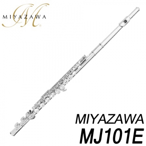 미야자와(Miyazawa)MJ101E