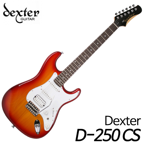 덱스터(Dexter)일렉트릭 기타 [D Series] D-250 CS