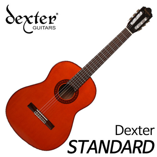 덱스터(dexter)STANDARD 스탠다드 클래식 기타