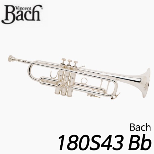 바하(Bach)180S43 Bb 트럼펫