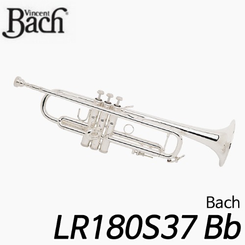 바하(BACH)LR180S37 Bb 트럼펫