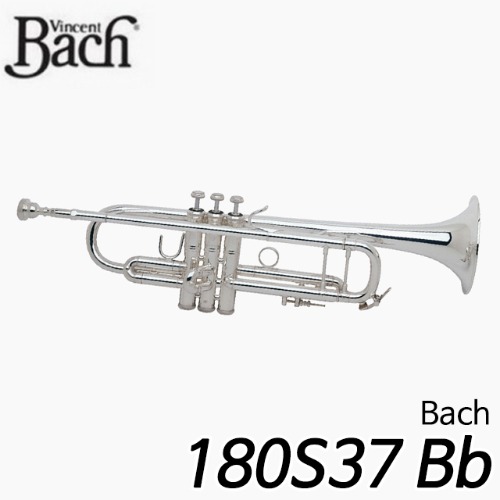 바하(Bach)180S37 Bb 트럼펫