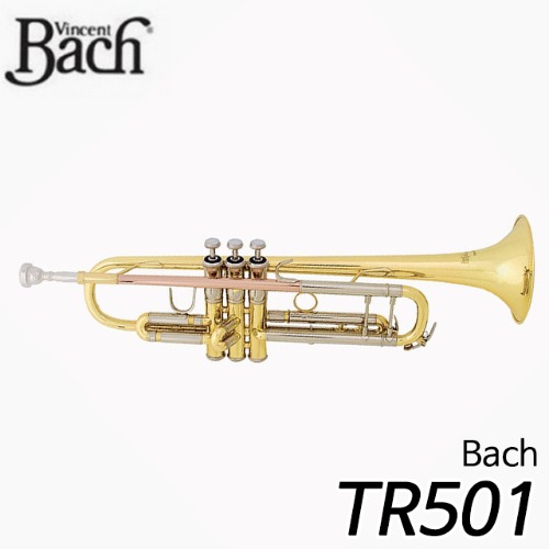 바하(BACH)TR501 Bb 트럼펫