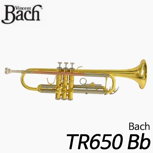 바하(Bach)TR650 Bb 트럼펫