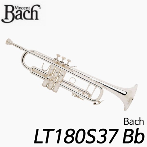 바하(BACH)LT180S37 Bb 트럼펫
