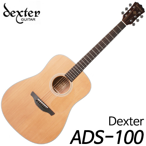 덱스터(Dexter)ADS-100